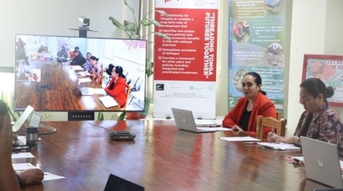 Ms. Lu'isa Tu'i'afitu Malolo (Director for Climate Change) delivering the opening remarks
