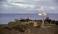 Taulanga Pasivulangi Niua Fo&#039;ou &#039;i he ta&#039;u 1970 tupu