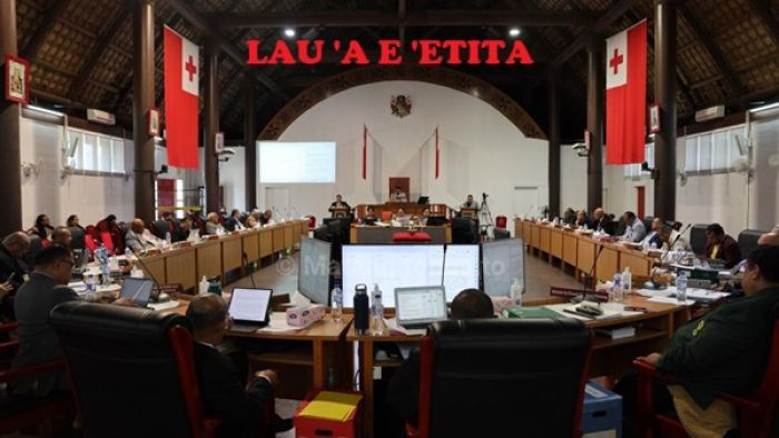 Tu'unga ma'ulalo a'u kiai feme'a'aki Fale Alea 'o Tonga