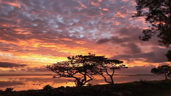 Laulau: Lau Tā-Vā ‘o e ‘Aho & Pō FakaTonga
