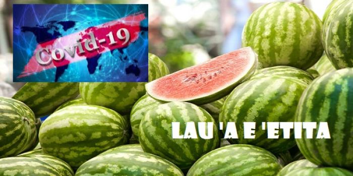 Tu'unga Faka-‘Ikonomika ‘o e fonua mo e Covid-19