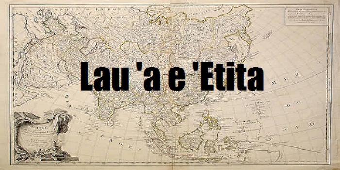 Tu'utu'uni Ngāue Sio ki he Hahake (Look East Policy)