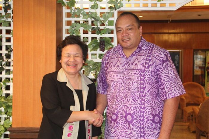 "Mamahi Noa Ngutu 'o Fuiva": Ki'i Vakai Faka'analaiso Ni'ihi Tongatapu 3 ki he'enau Fakafofonga, Tokoni Palemia