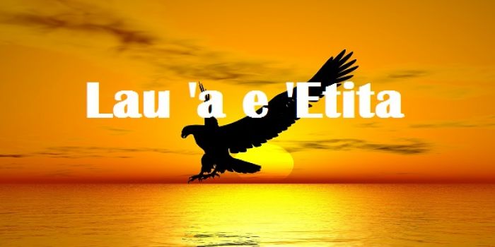 Tukuaki'i 'o Viola Ulakai: Ko e lolomi nai 'eni e totonu ke 'ilo?