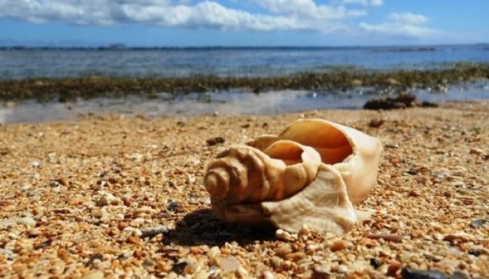 Toafa'one 'i he fakahihifo 'o Nukunuku