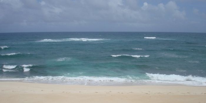 Near Kalaeokaunaʻoa (The Bay of the Mollusk), Kahuku, O’ahu, Hawaiʻi. Photo by Tevita 'O Ka'ili
