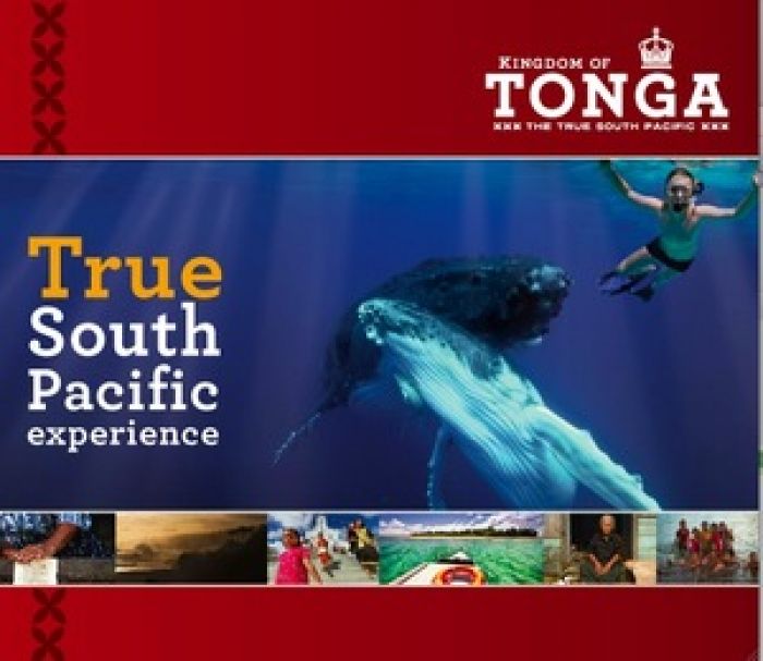 Lau 'a e 'Etita: Sekitoa Takimamata ‘i he Langa Faka ‘Ikonomika ‘a e Fonua