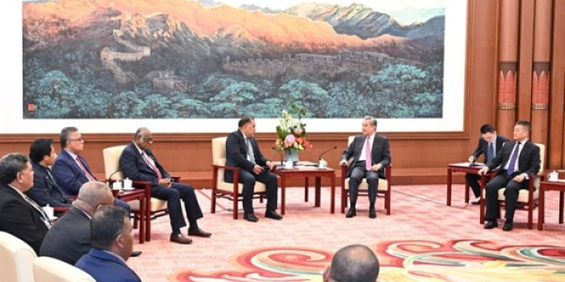 Chinese FM meets with delegation of leaders from...